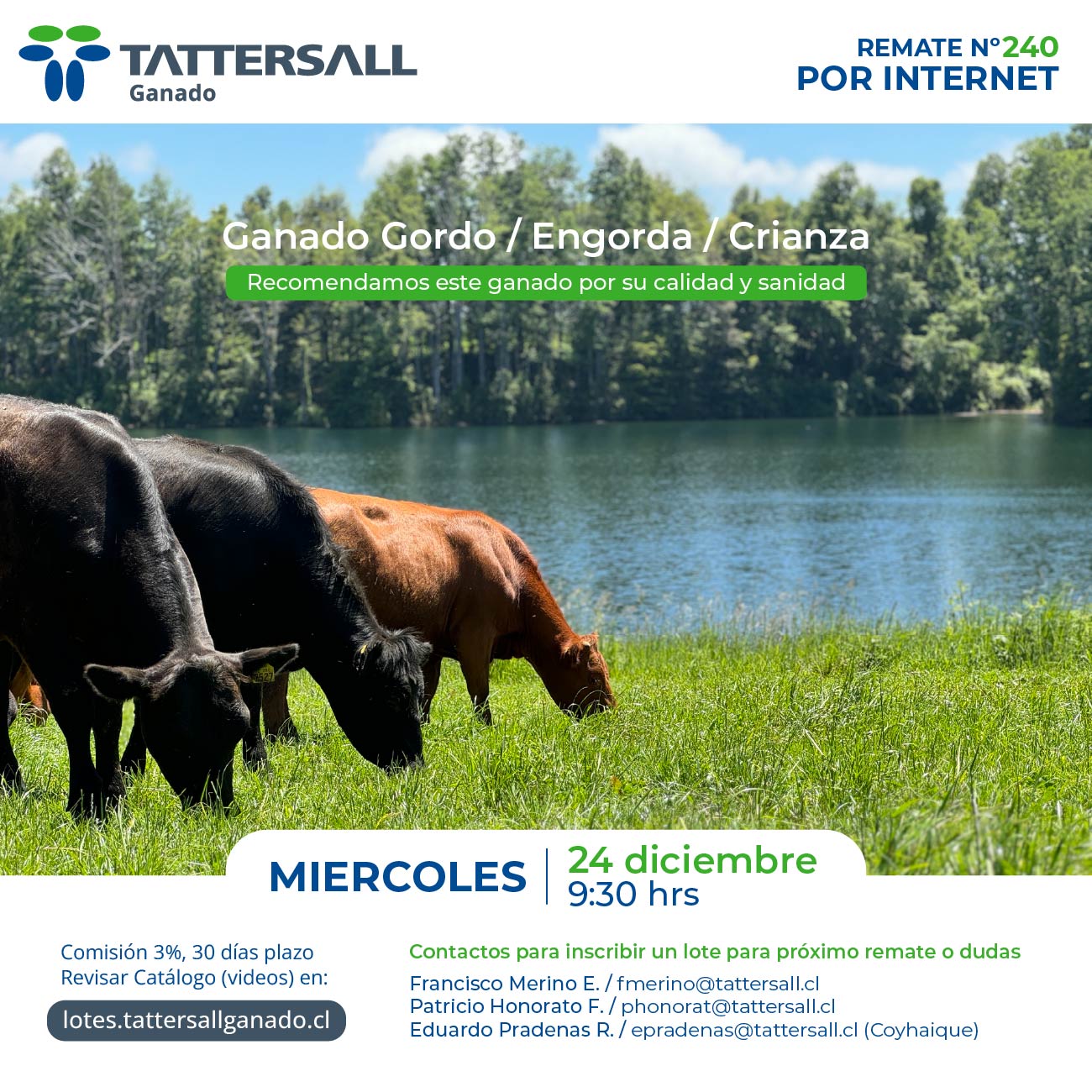Remate 24 de Diciembre Ganado Crianza y Engorda