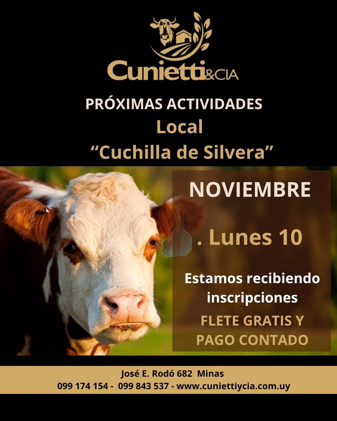 Remate Feria Mensual - Cunietti y Cia