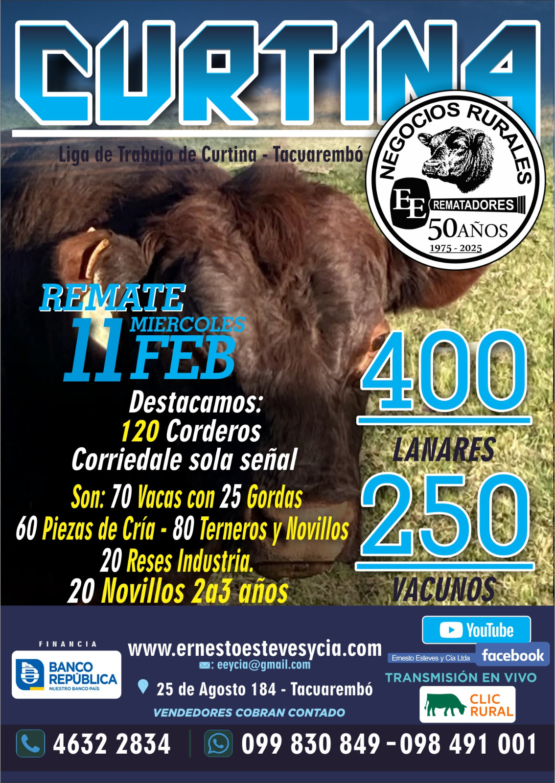 Feria Mensual - Ernesto Esteves