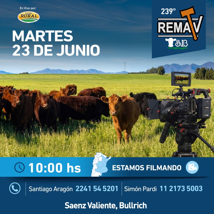 239° RematV