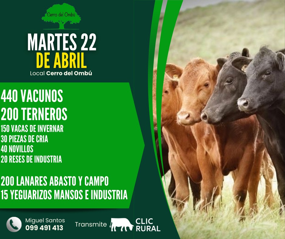 Afiche Feria Mensual - Cerro del Ombu