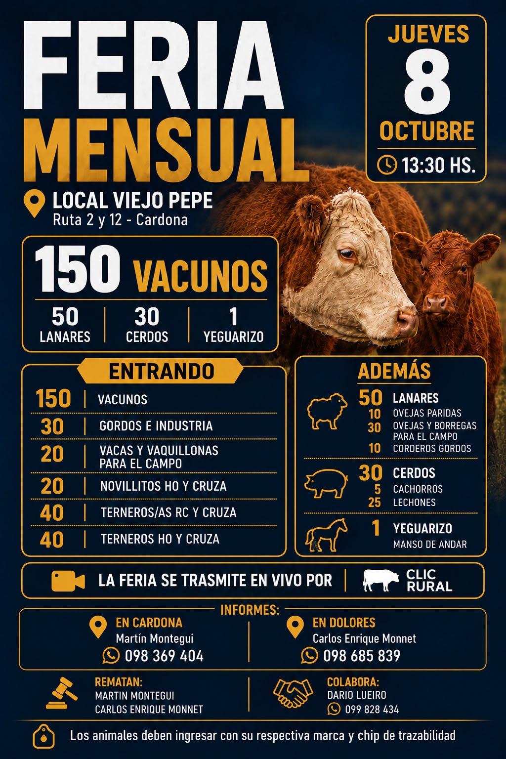 Afiche 