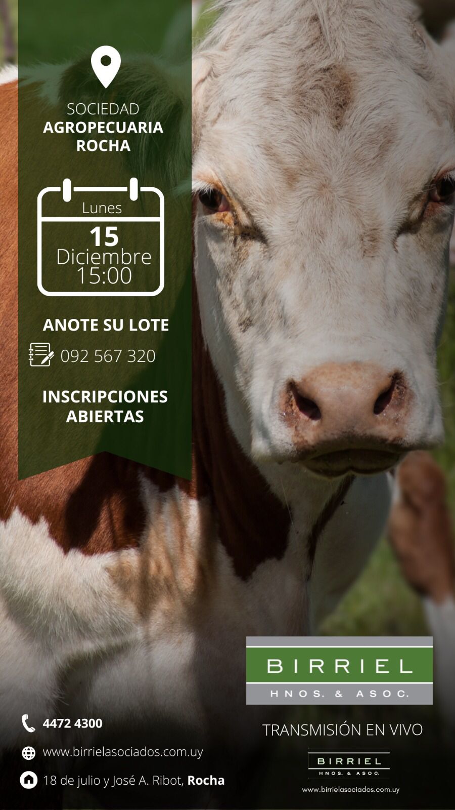 Remate Feria Soc. Agrop. Rocha