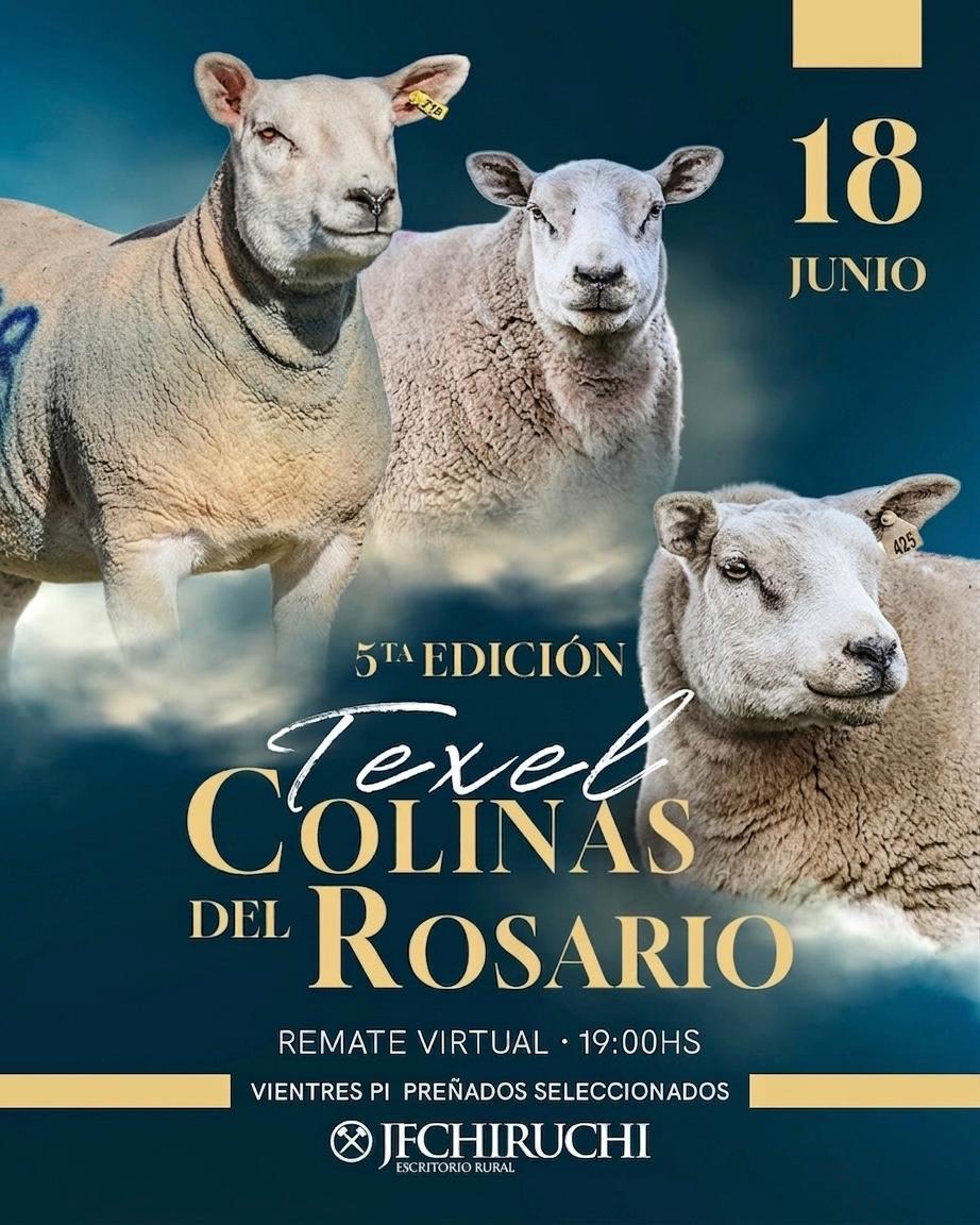 5to Remate Anual - Colinas del Rosario
