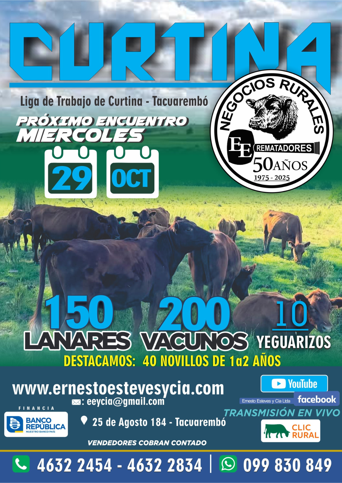 Remate Feria Mensual