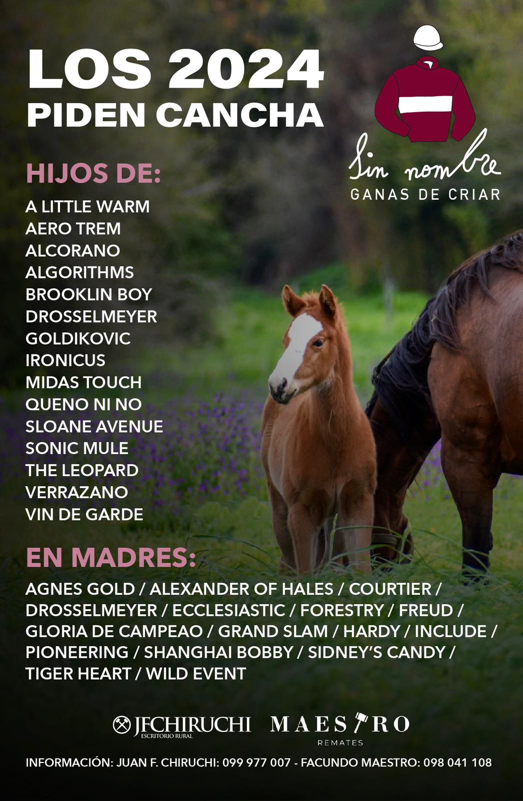 Haras Sin Nombre - Fecha a definir