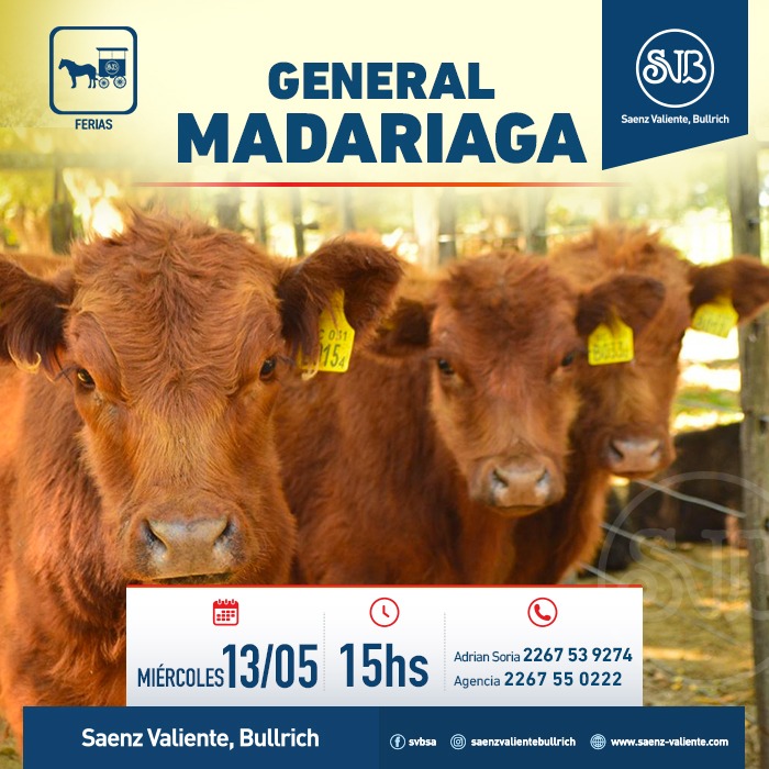 Feria en Gral. Madariaga