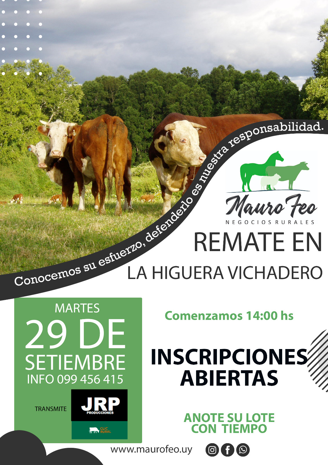 Remate Feria mensual - Mauro Feo