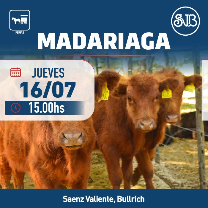 Feria en Gral. Madariaga