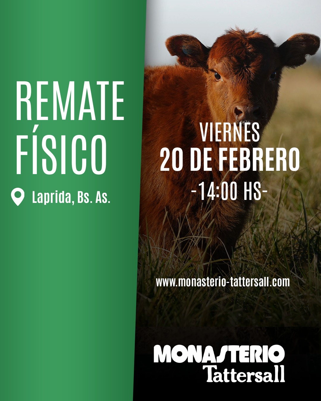 Remate Remate Físico Laprida
