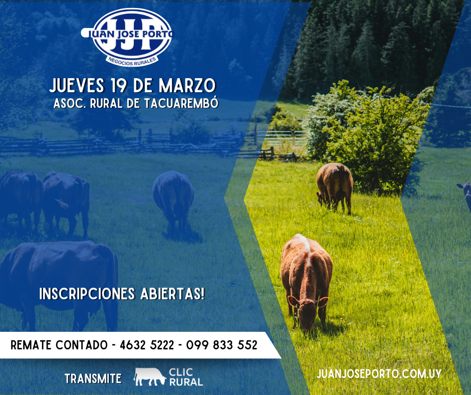 Feria Mensual - Juan Jose Porto