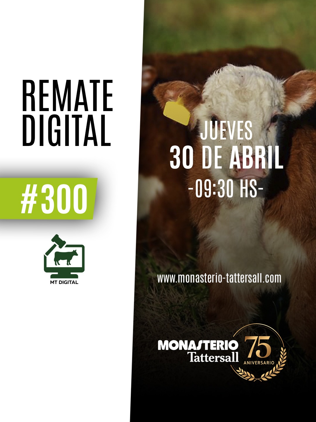 Remate Remate digital 300° desde Daireaux 