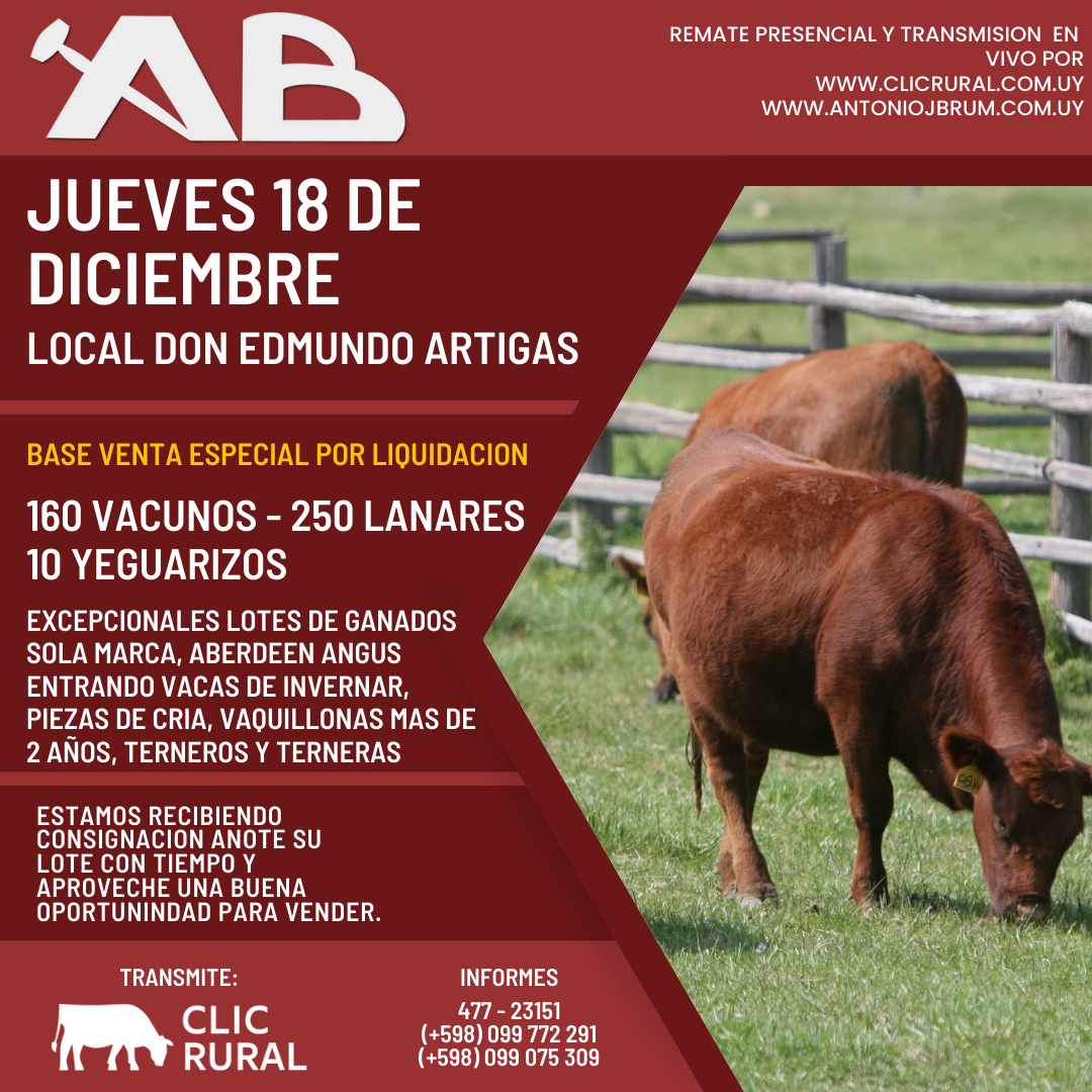 Remate Feria mensual - Antonio J Brum