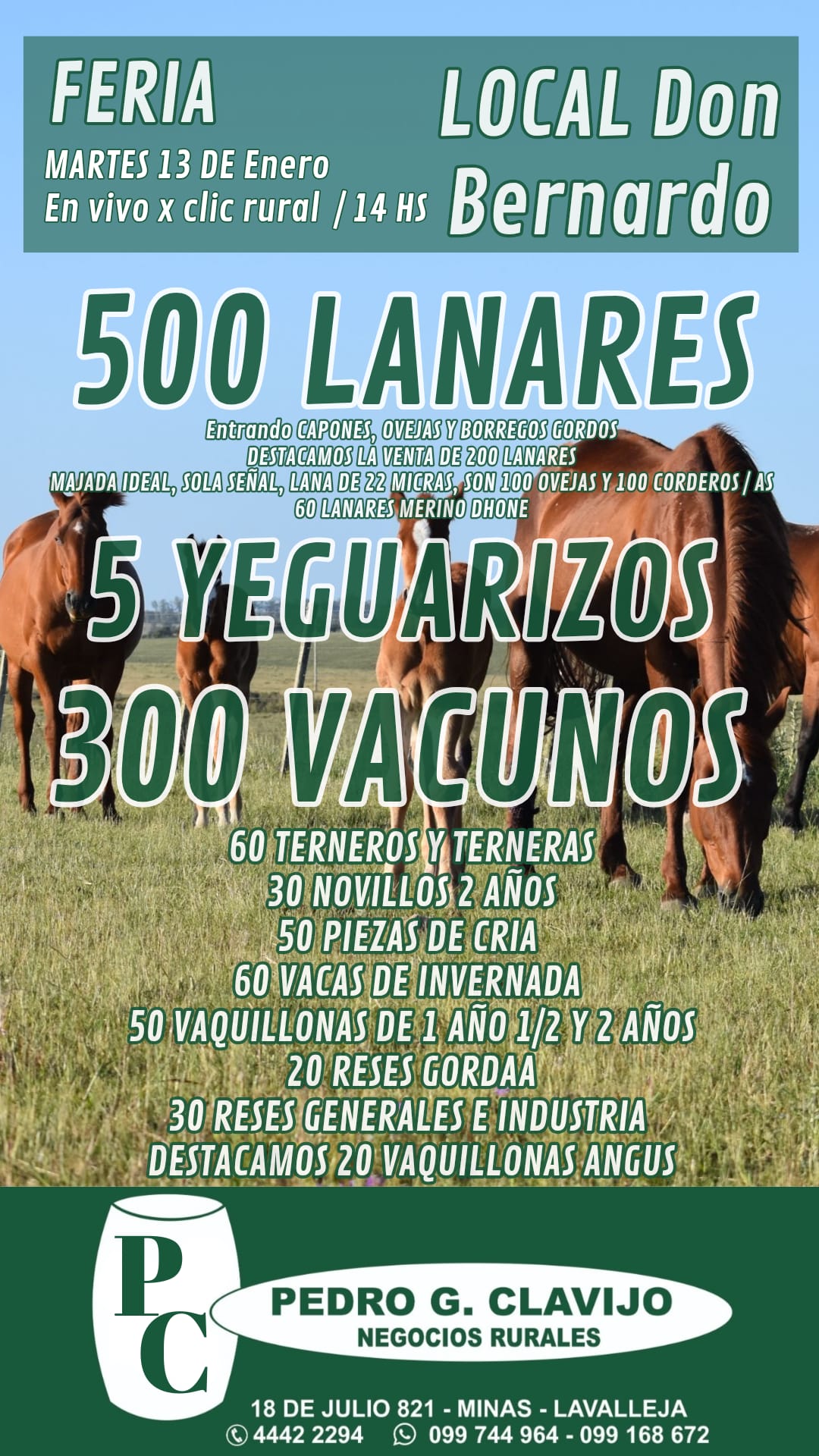 Remate Feria Mensual - Pedro G Clavijo