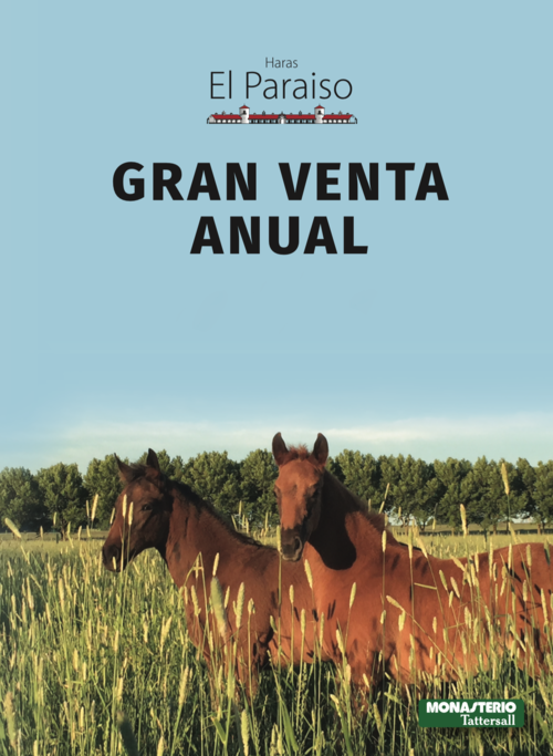 Afiche 
