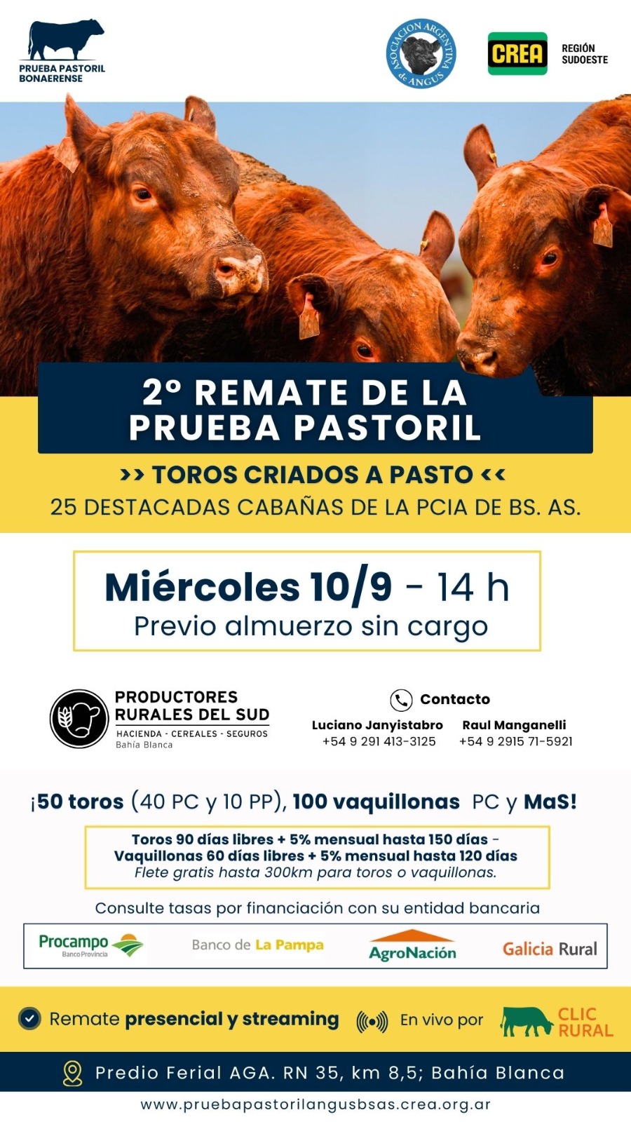 Remate Prueba Pastoril Bonaerense de Angus