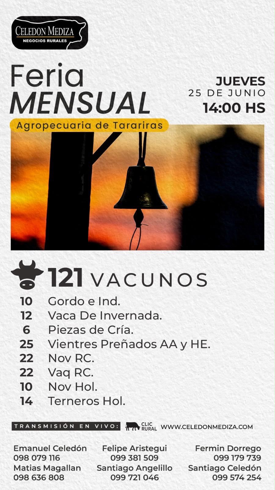 Remate Feria Mensual - Celedon Mediza