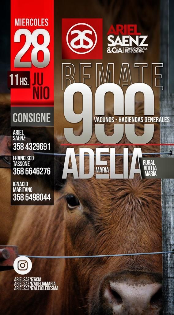 Afiche Remate Miércoles 28 de junio 