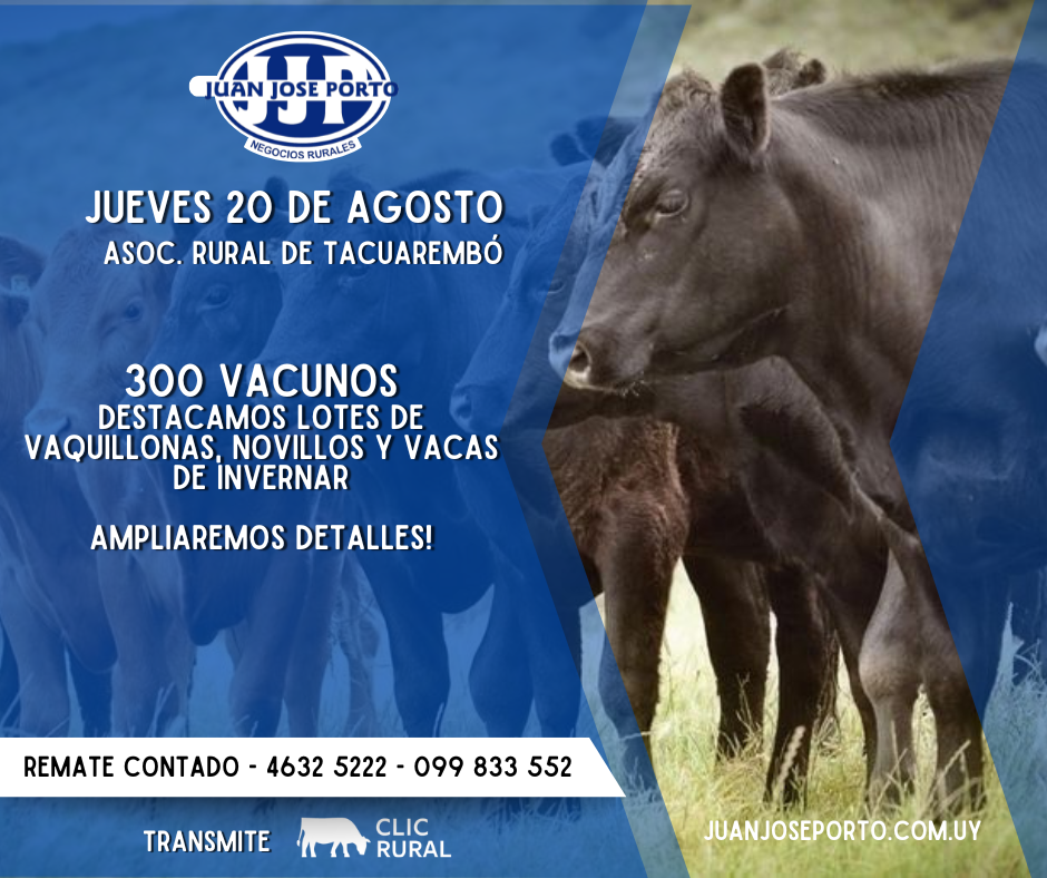 Feria mensual - Juan Jose Porto