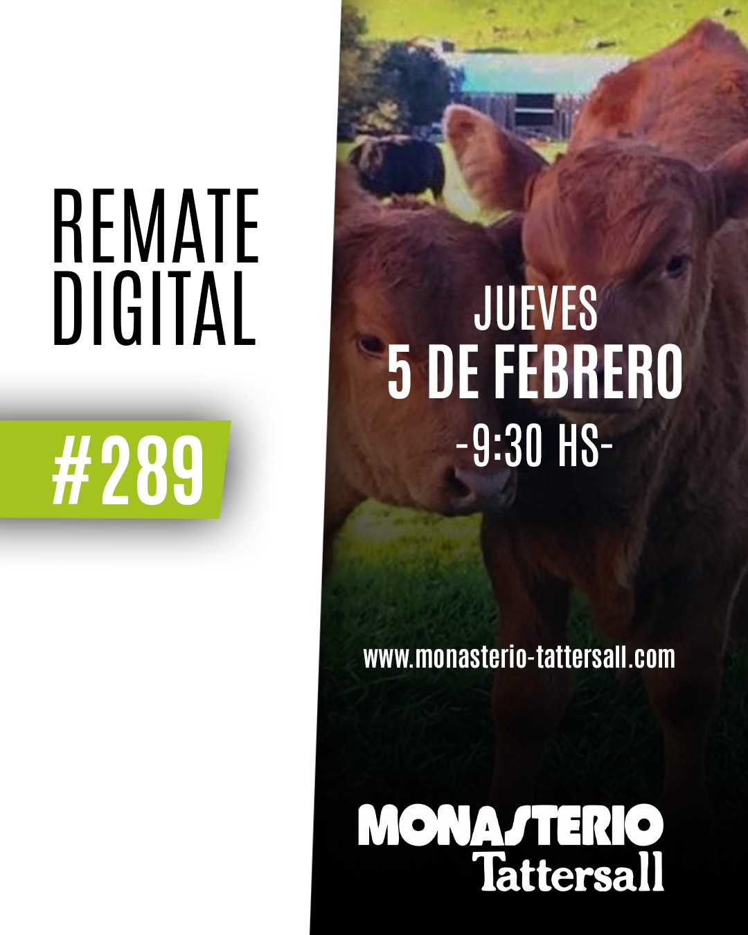 Remate Remate digital 289°
