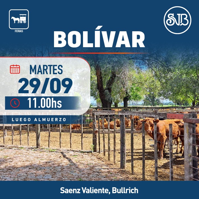 Afiche Feria en Bolívar