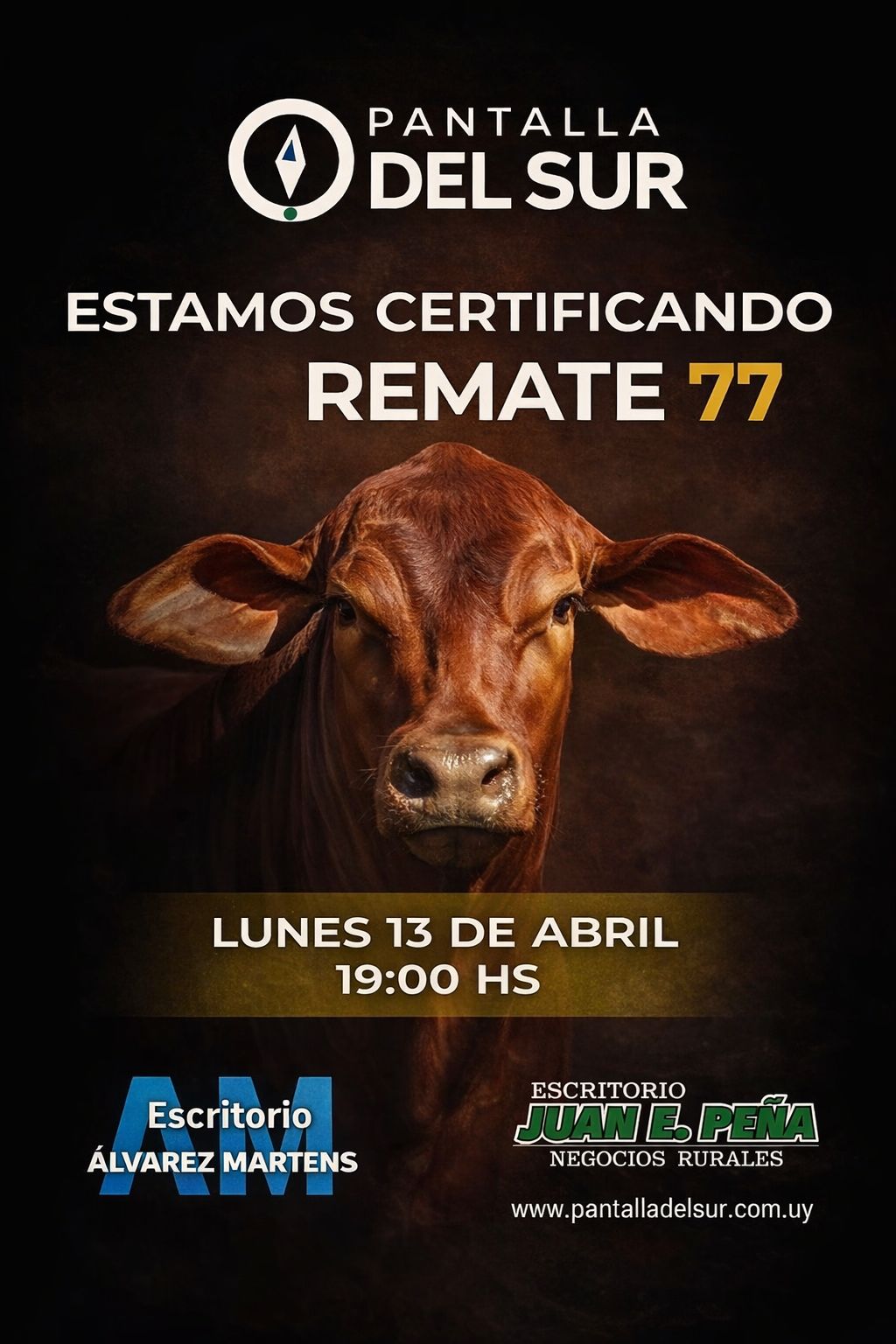 Remate 77º Pantalla del Sur
