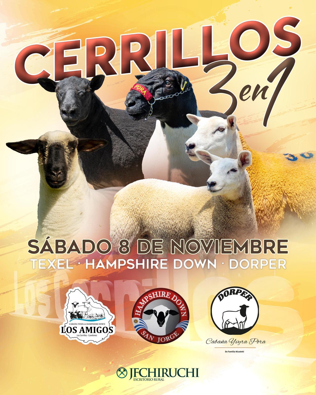 Cerrillos 3 en 1