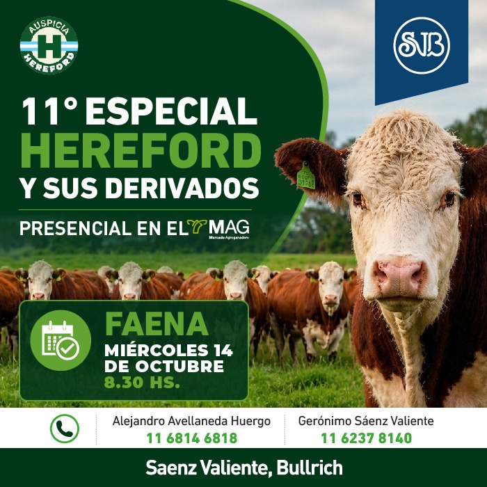 Remate 11° Especial Hereford 
