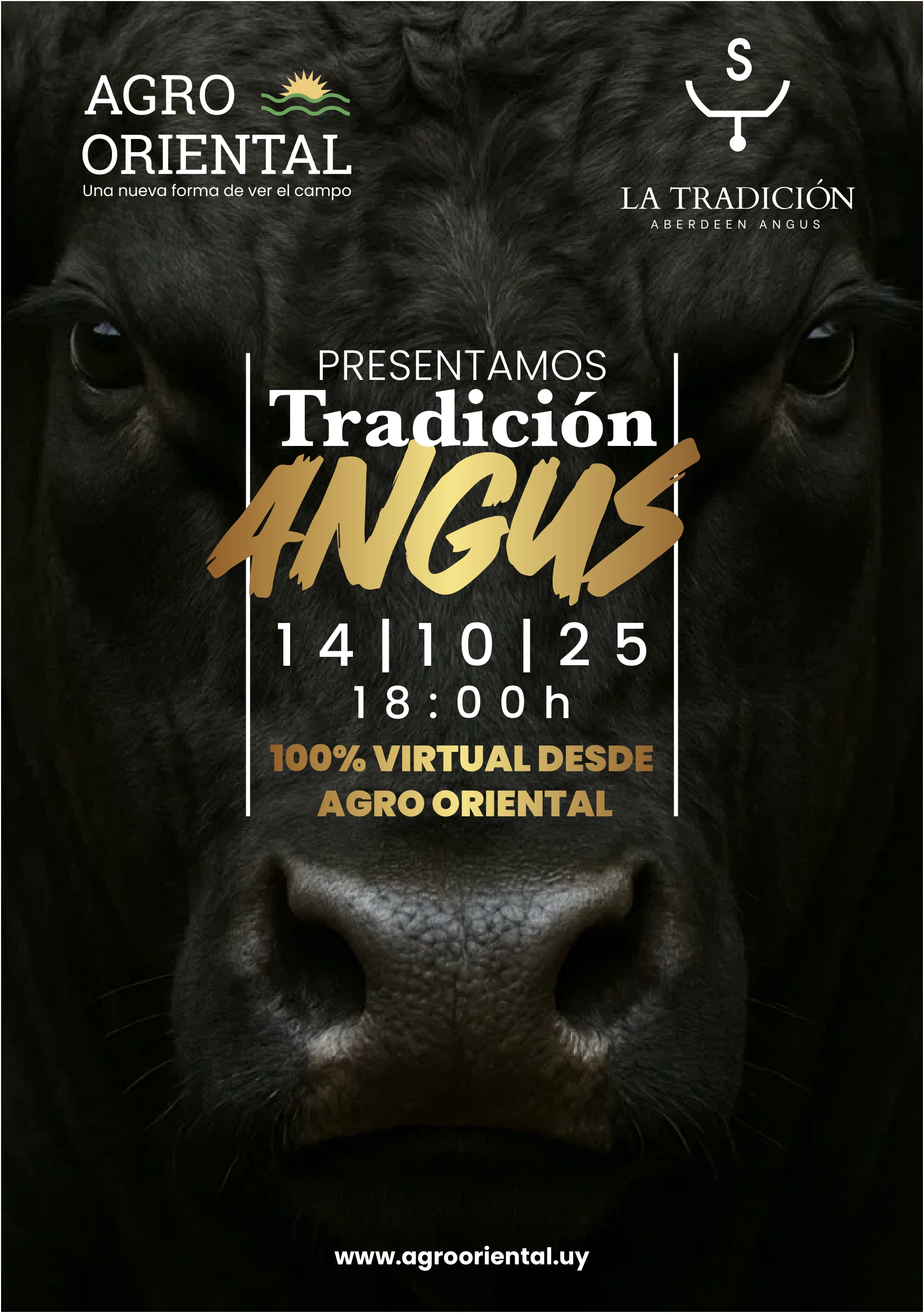 Afiche La Tradicion Angus