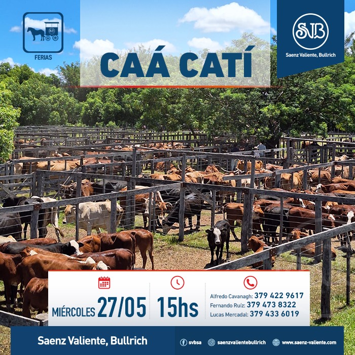 Feria en Caá Catí