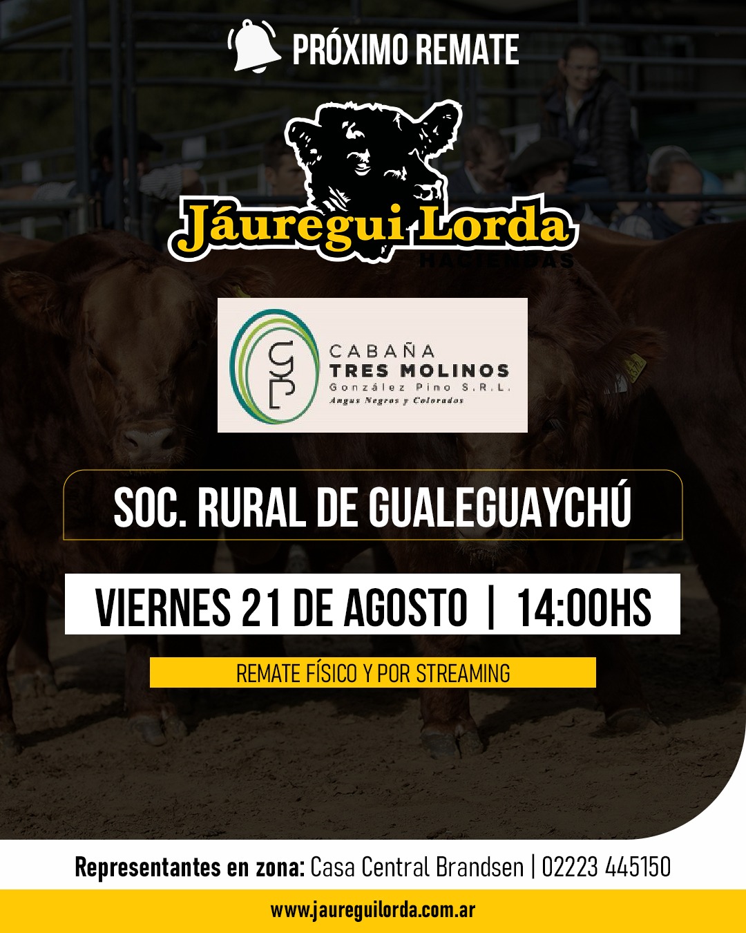 Afiche Remate Cabaña tres molinos 