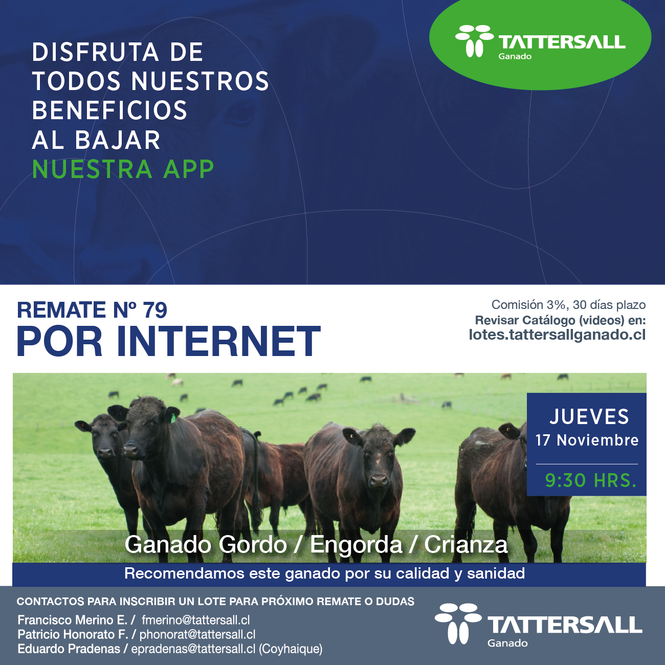 Afiche 17 de Noviembre Ganado Crianza y Engorda