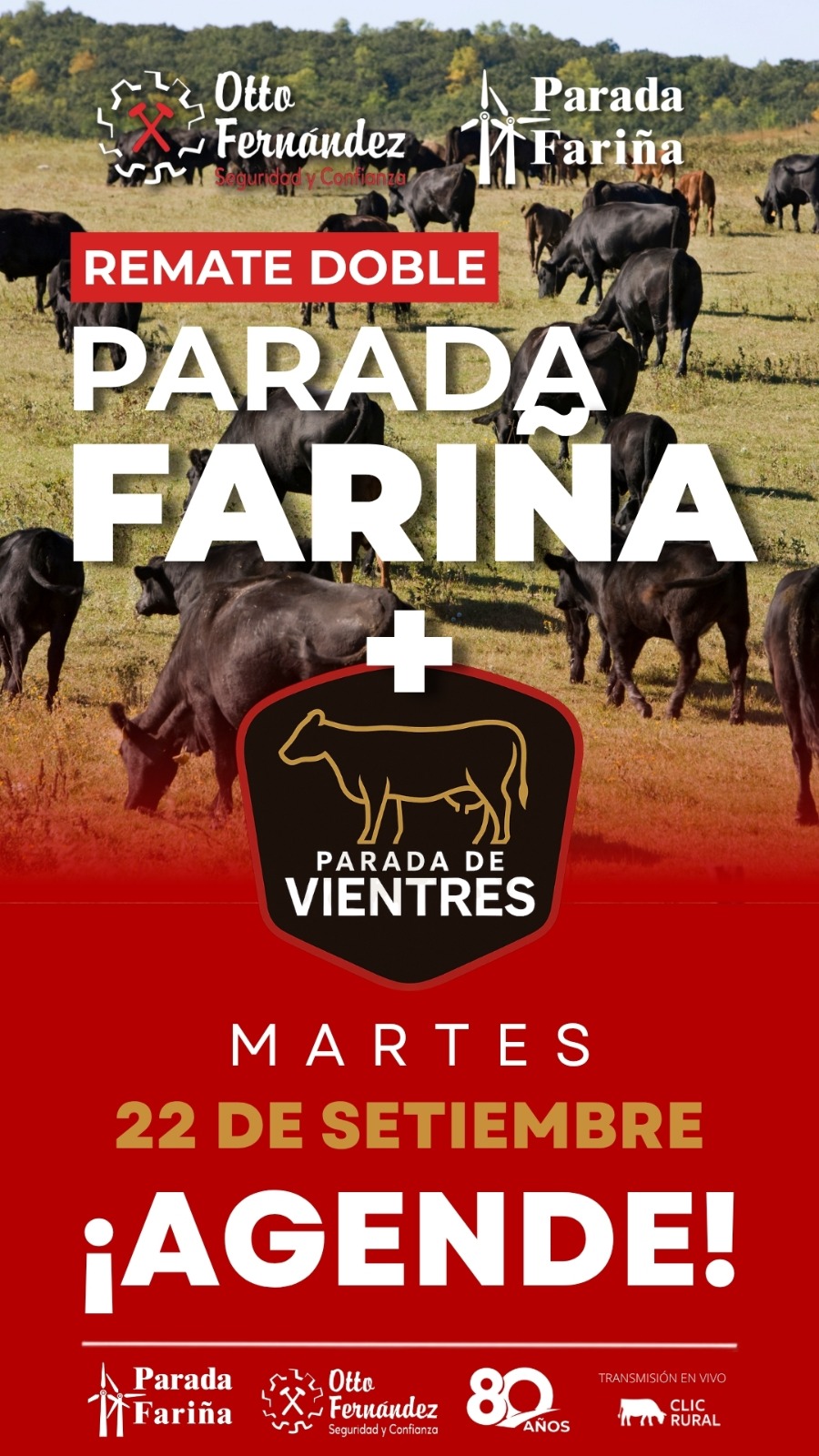 Afiche Parada de Vientres + Feria General