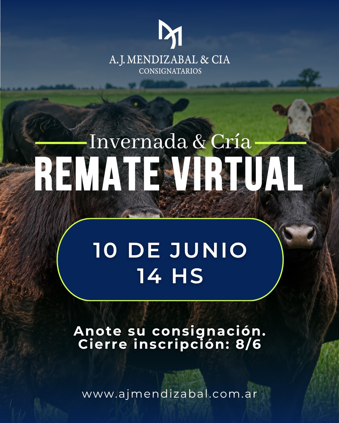 53° Remate virtual