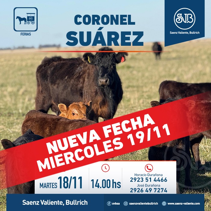 Feria en Coronel Suárez