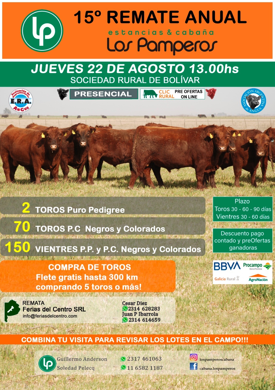 Afiche 15° Remate Anual Los Pamperos
