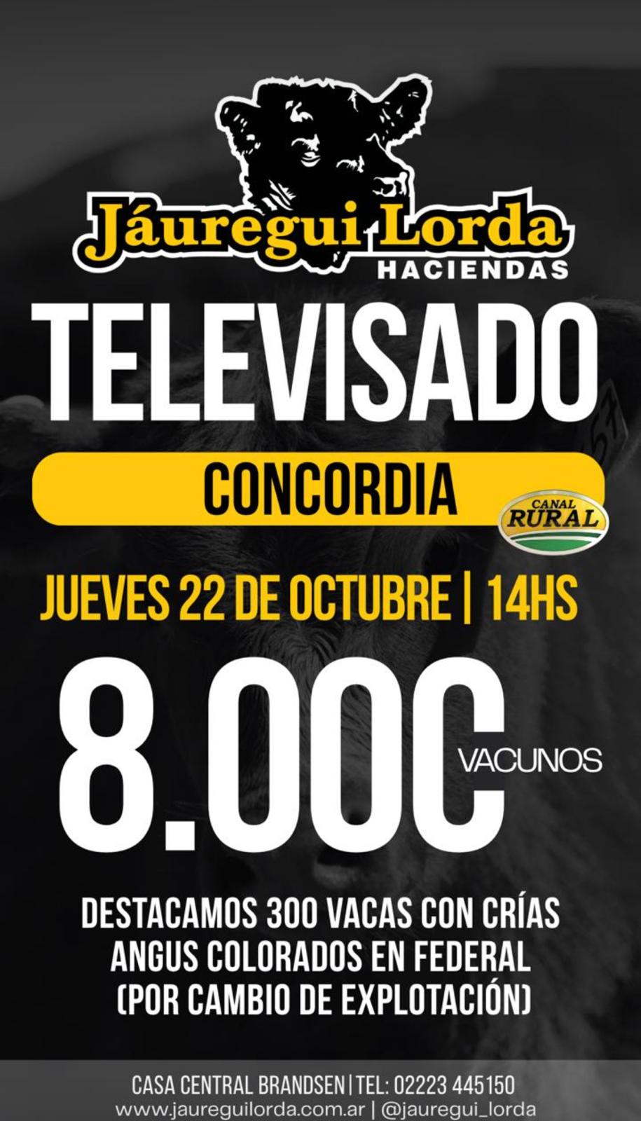 Remate televisado