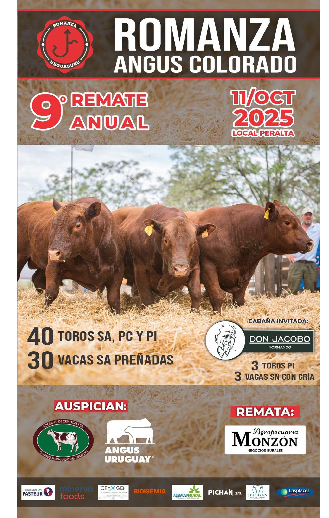 Afiche 9º Remate Anual - Estancia Romanza