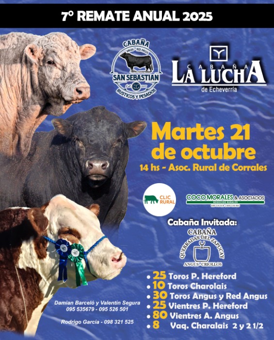 Afiche La Lucha, La Quebrada del Sapucay  y San Sebastian