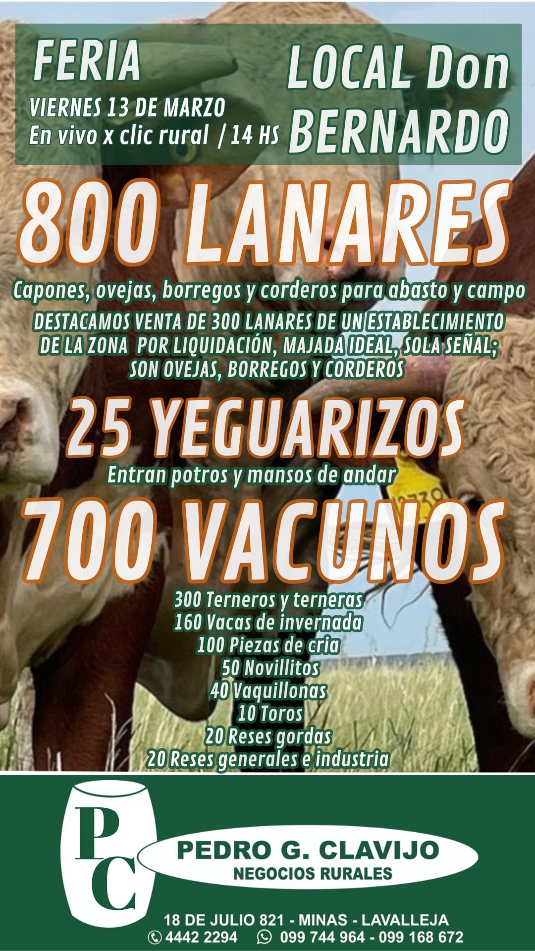 Feria en Don Bernardo