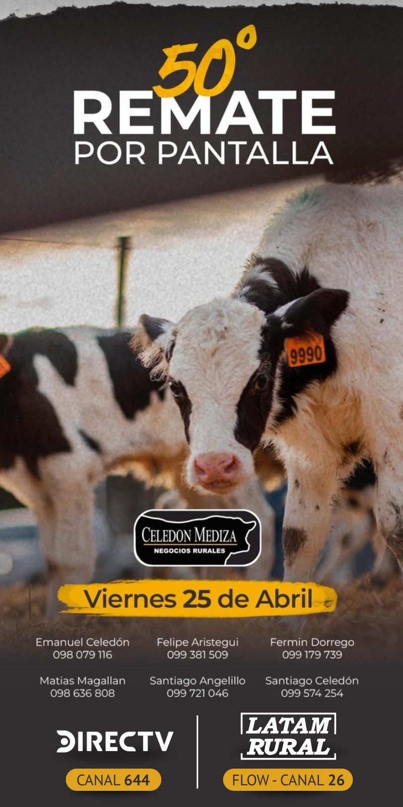 Afiche 50º Remate por Pantalla
