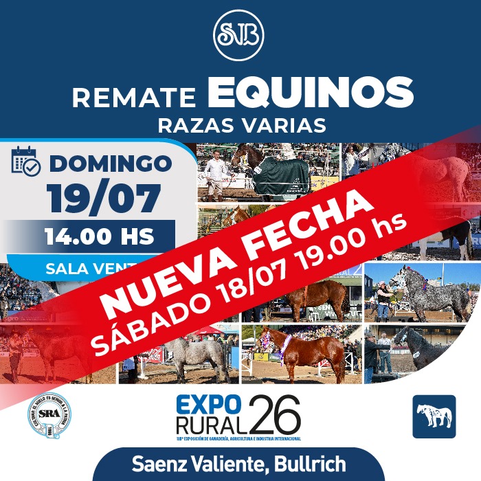 Equinos - Razas varias