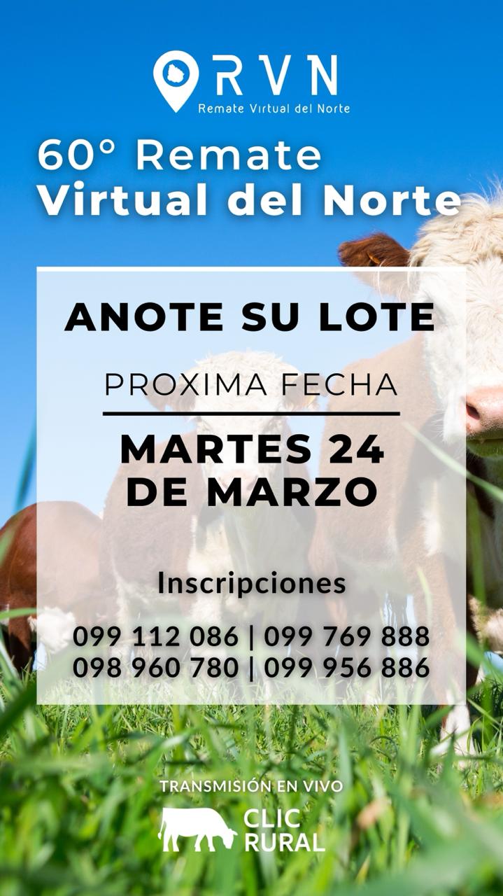 60º Remate Virtual del Norte