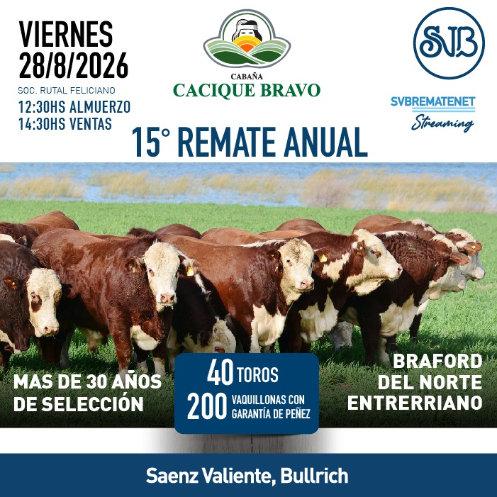 Remate Cacique Bravo