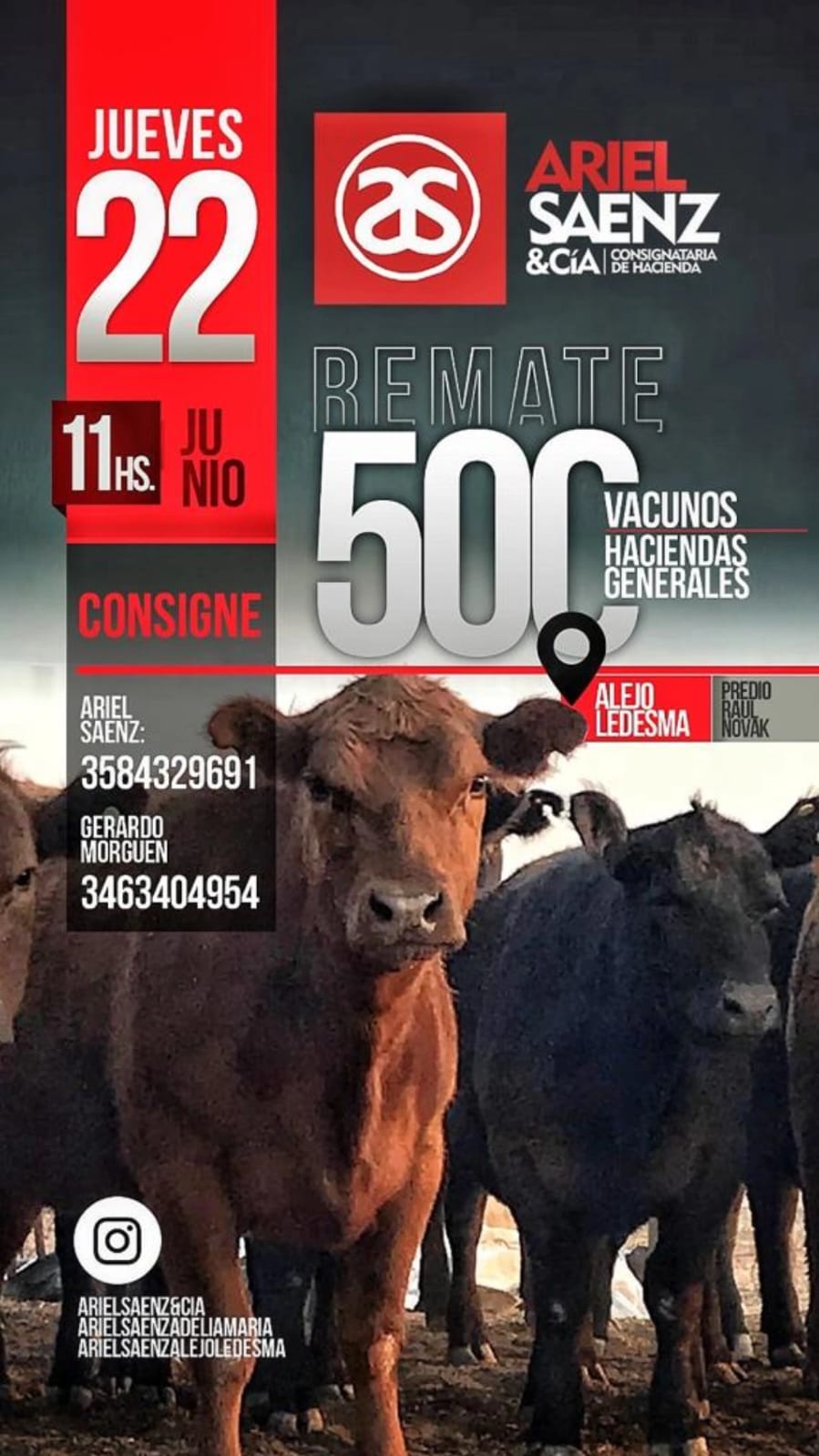 Afiche Remate: Haciendas Generales