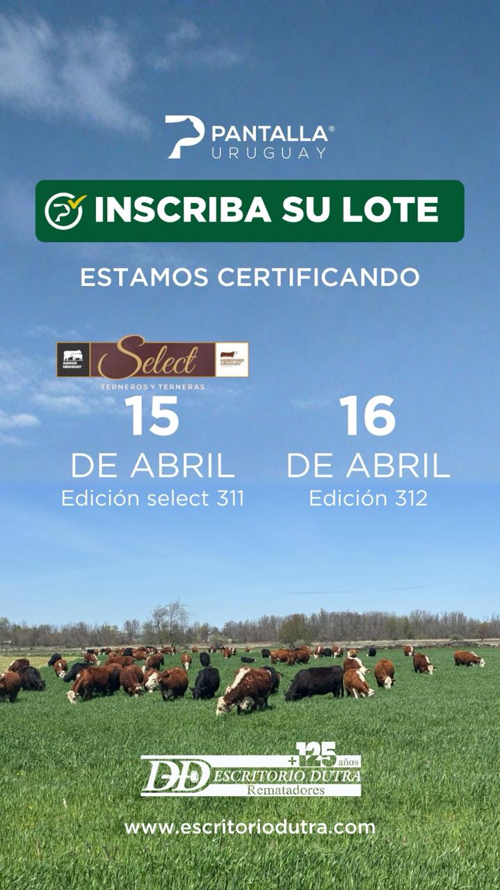 311º remate Pantalla Uruguay