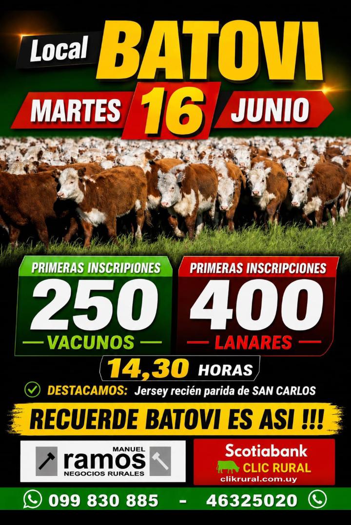 Feria Mensual - Manuel Ramos