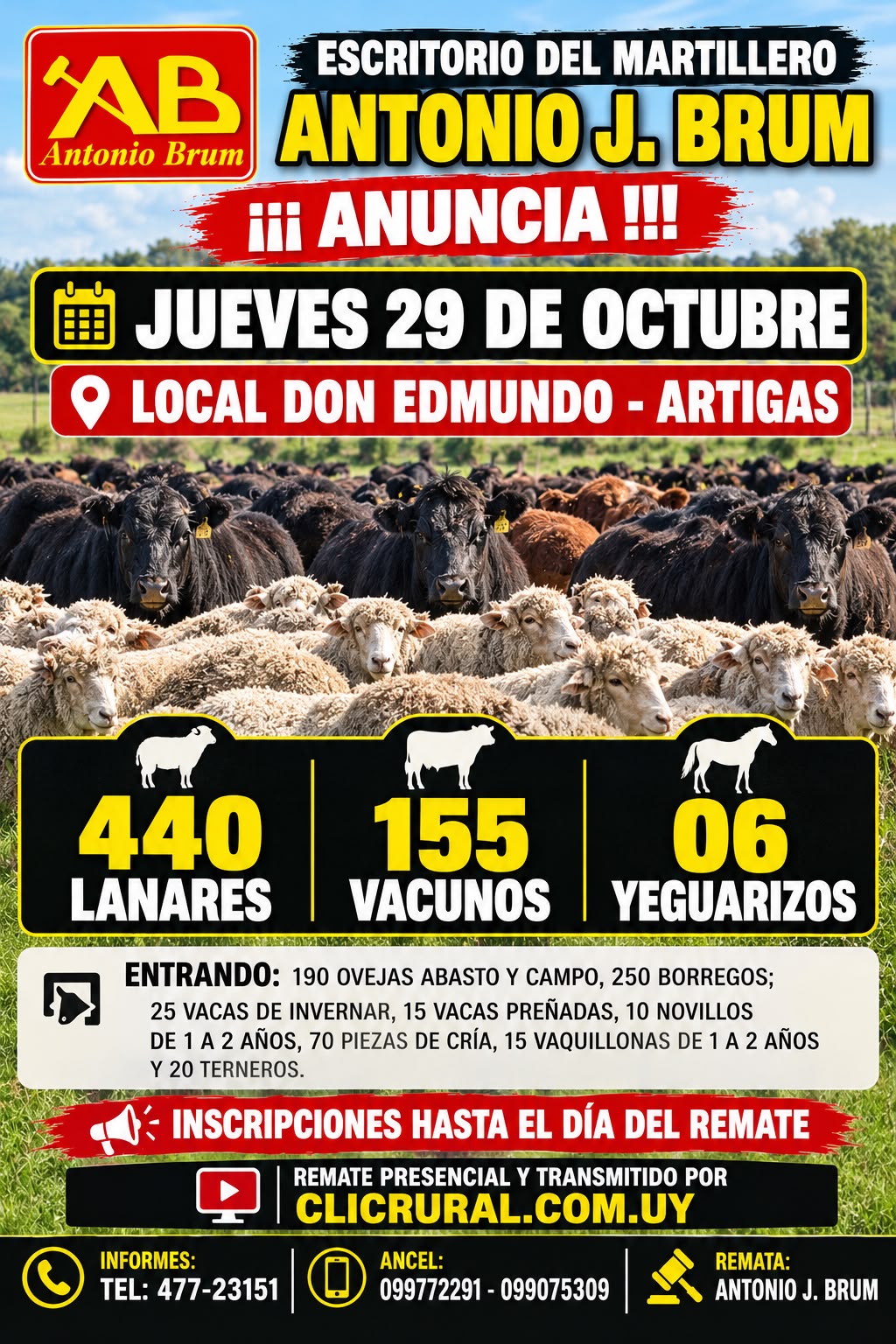 Feria mensual - Antonio J Brum