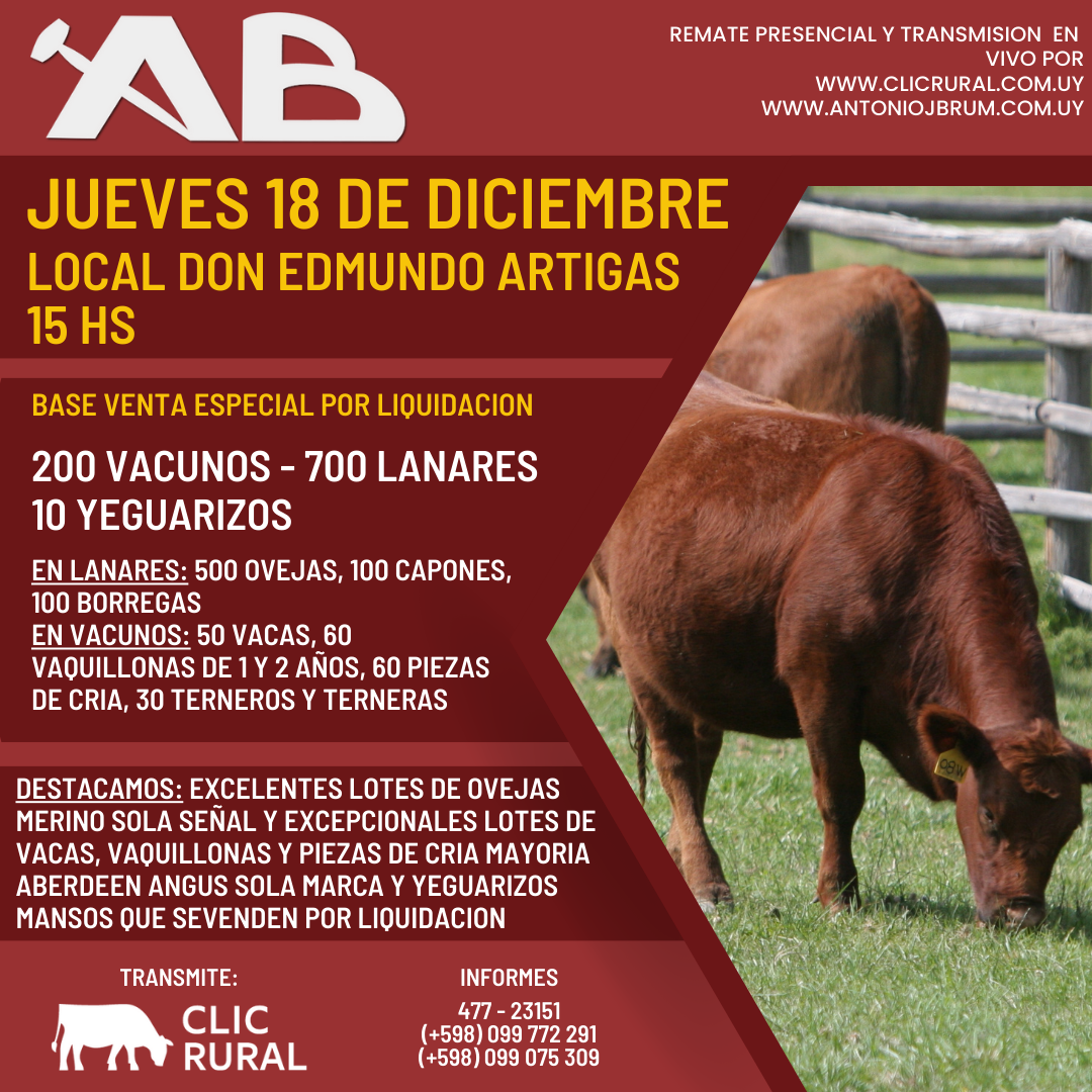 Remate Feria mensual - Antonio J Brum