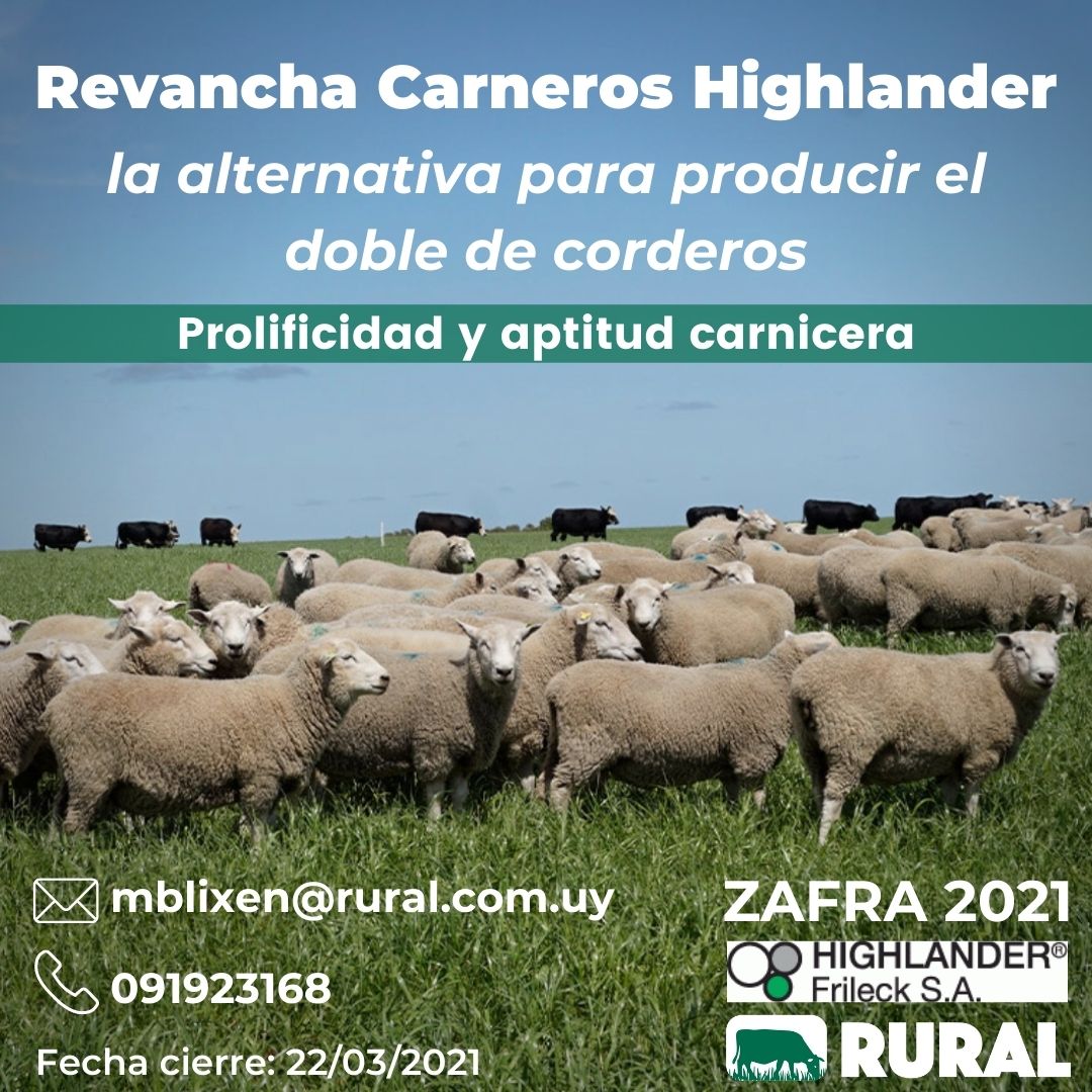Afiche REMATE HIGHLANDER®